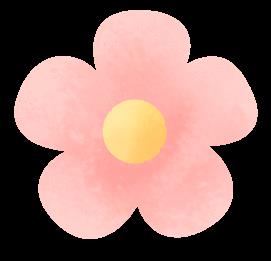 DƬ